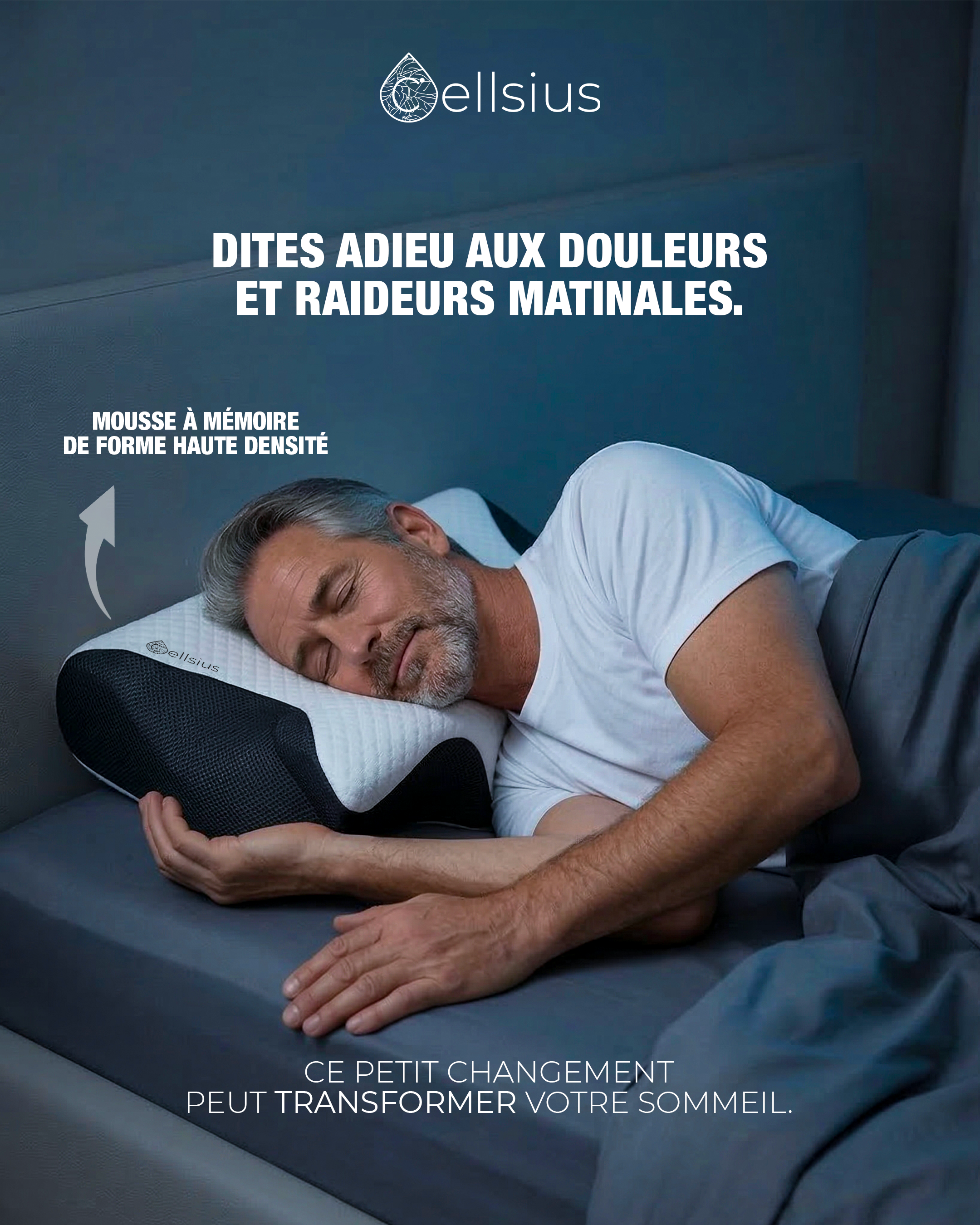 Création visuelle Cellsius (6/13)