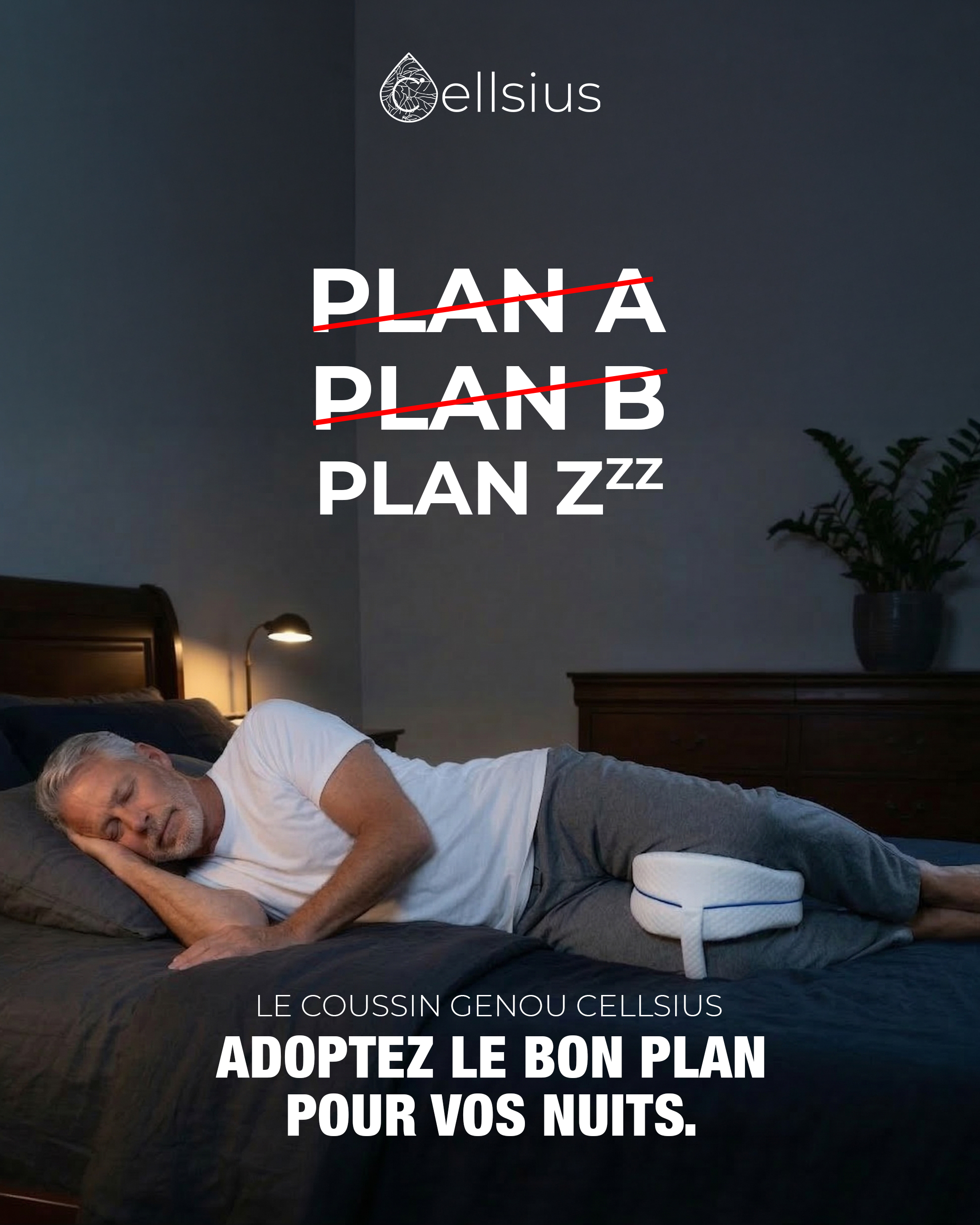 Création visuelle Cellsius (7/13)