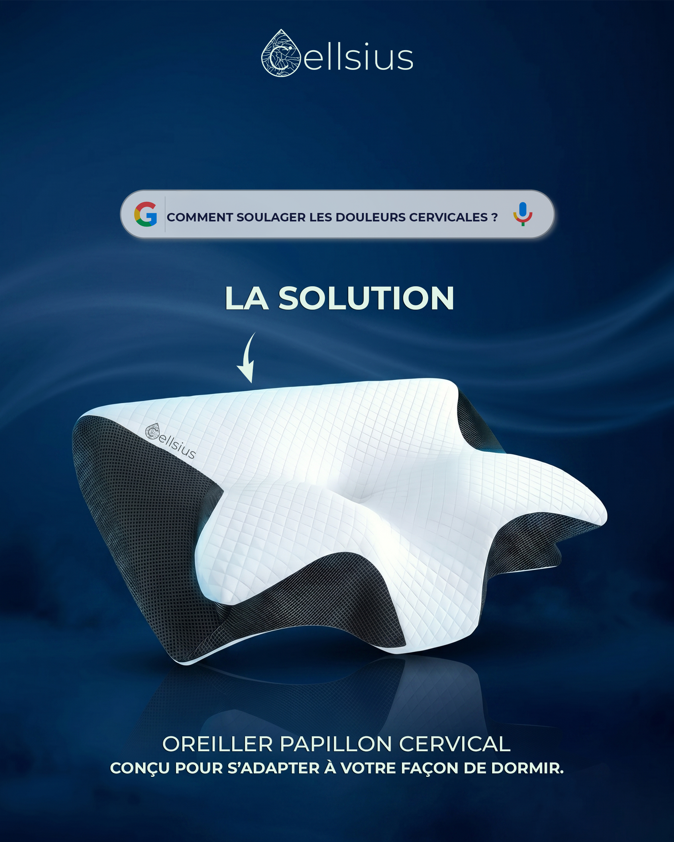 Création visuelle Cellsius (9/13)